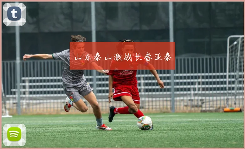 山东泰山激战长春亚泰
