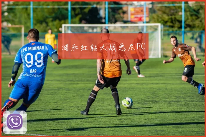 浦和红钻大战悉尼FC