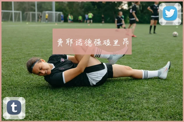 费耶诺德强碰里昂
