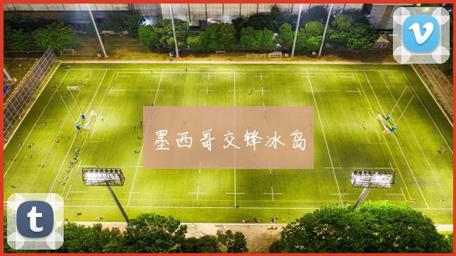 墨西哥交锋冰岛