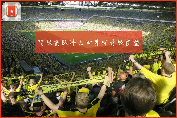 阿联酋队冲击世界杯晋级在望