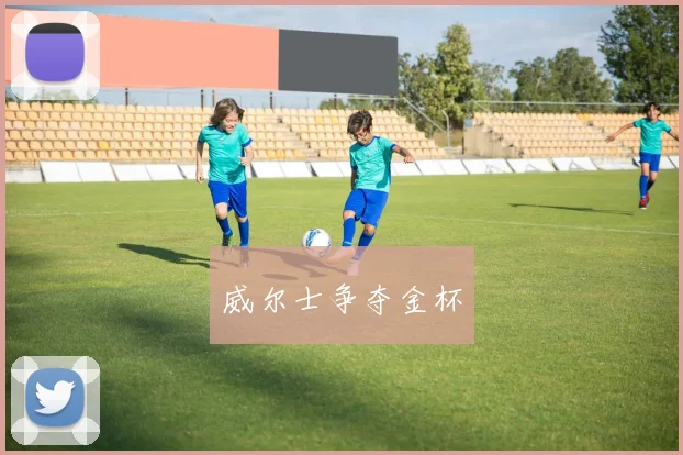 威尔士争夺金杯
