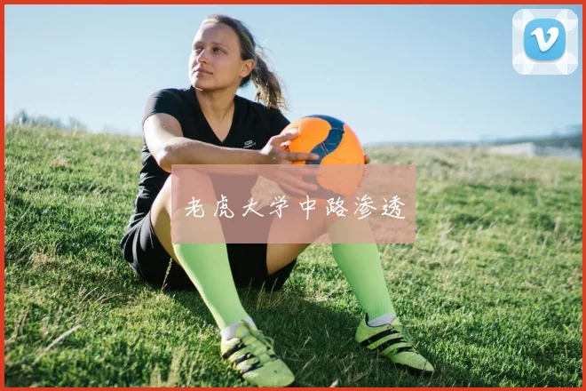 老虎大学中路渗透