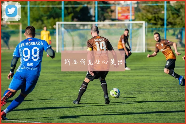 斯洛伐克核心复出