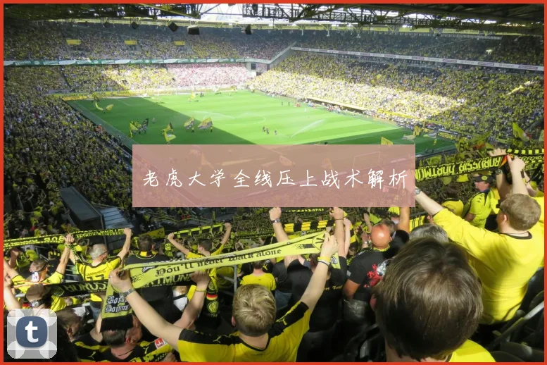 老虎大学全线压上战术解析