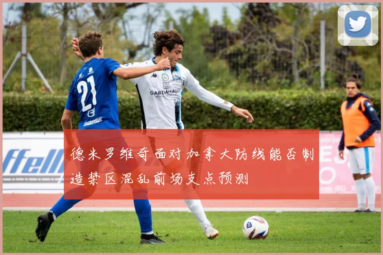德米罗维奇面对加拿大防线能否制造禁区混乱前场支点预测