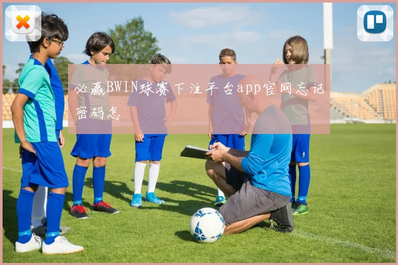 必赢BWIN球赛下注平台app官网忘记密码怎