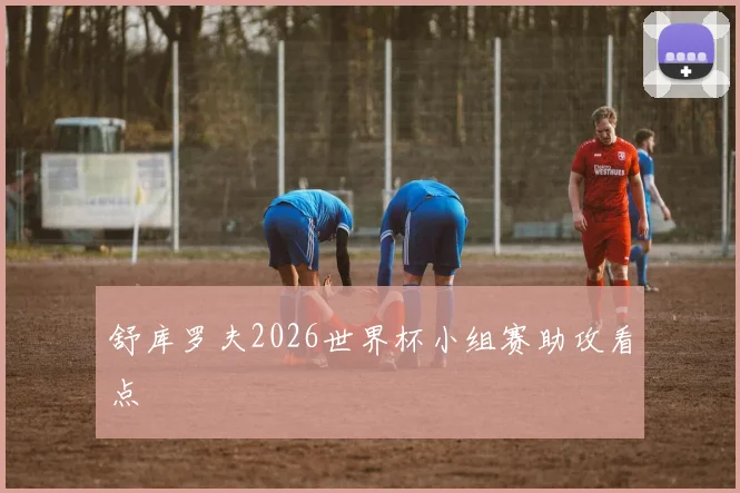 舒库罗夫2026世界杯小组赛助攻看点