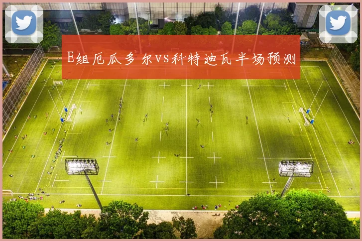 E组厄瓜多尔vs科特迪瓦半场预测